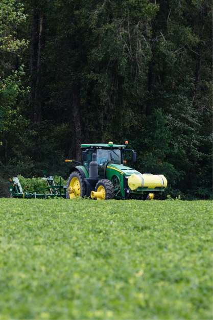 Kendall Kirk is driving a tractor through a field of crops with a tall forest treeline in the background.