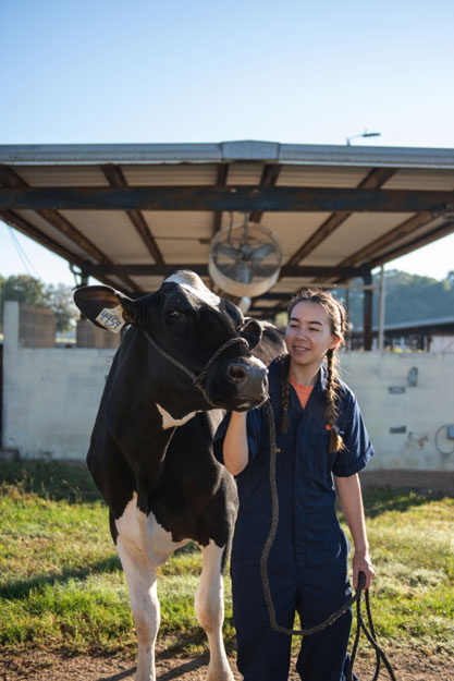 Marena is standing outside an outdoor facility with a cow standing to her left. Marena is petting the cow with one hand and holding the lead in the other.