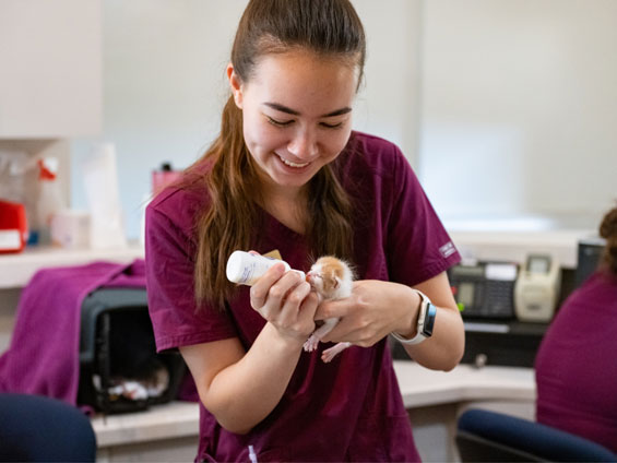 Marena is smiling while feeding a baby kitten milk from a bottle.