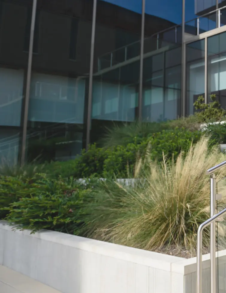 The front steps of the Clemson College of Business building with a plant on the left.