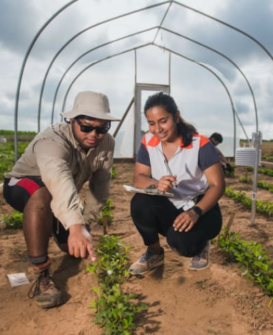 Two undergraduate students examine plants and take notes in a greenhouse.