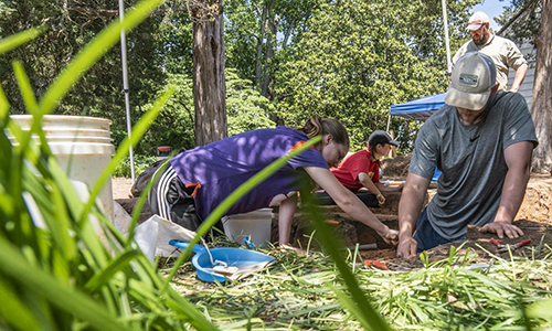 Team working at the archaeological site