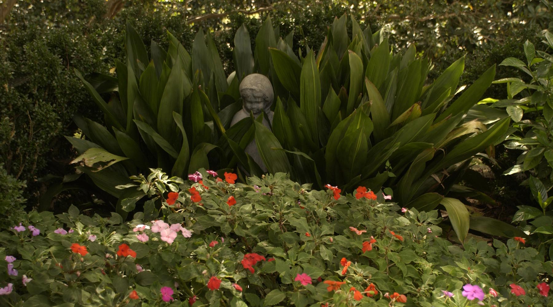 The Garden