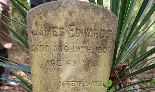 James Edwards etched on an old gravestone with a palm leaf growing behind it.