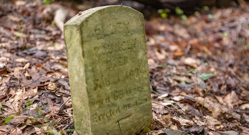 Small light colored headstone with a greenish tint to it. It sits surrounded by brown leaves and a few sprigs of greenery growing nearby. Etchings are mostly unreadable.
