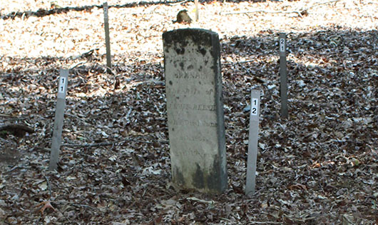 A weathered gravestone among fallen leaves with plot markers surrounding it.