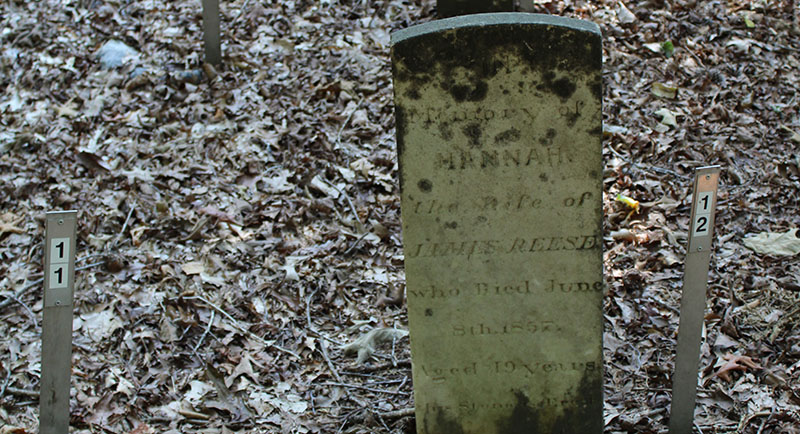 Slender pale headstone with dark stains along the top and very bottom. Mostly unreadable etchings, but the words "Hannah" and "aged 19 years" are legible. 