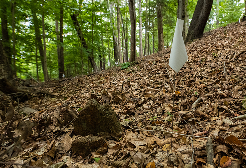 A white flag marks a field stone grave marker in Woodland Cemetery.