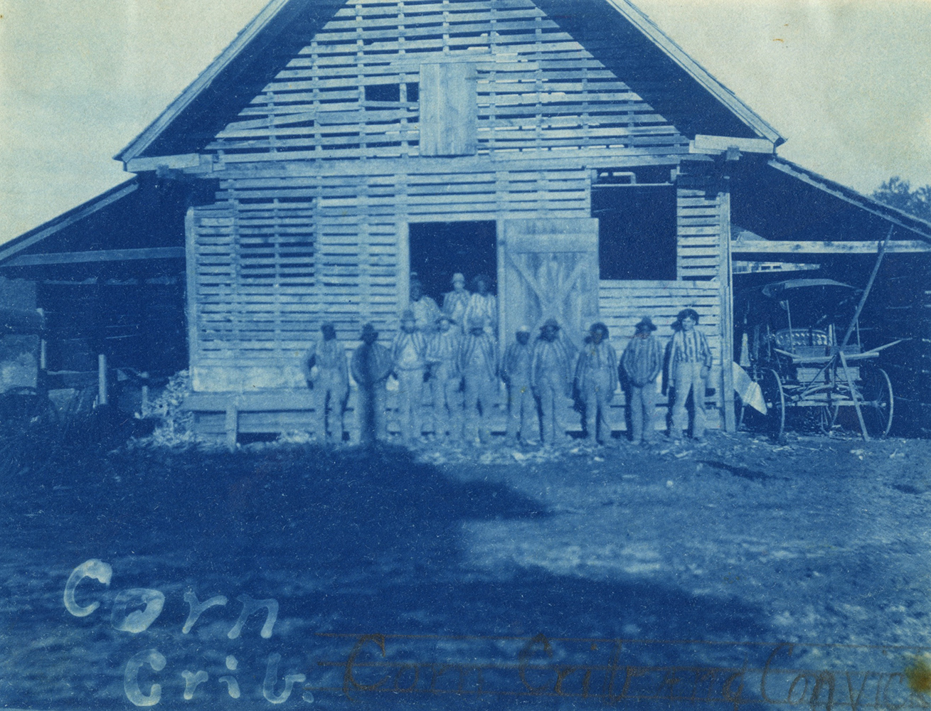Convicted laborers stand in front of the corn crib at Clemson in 1904.
