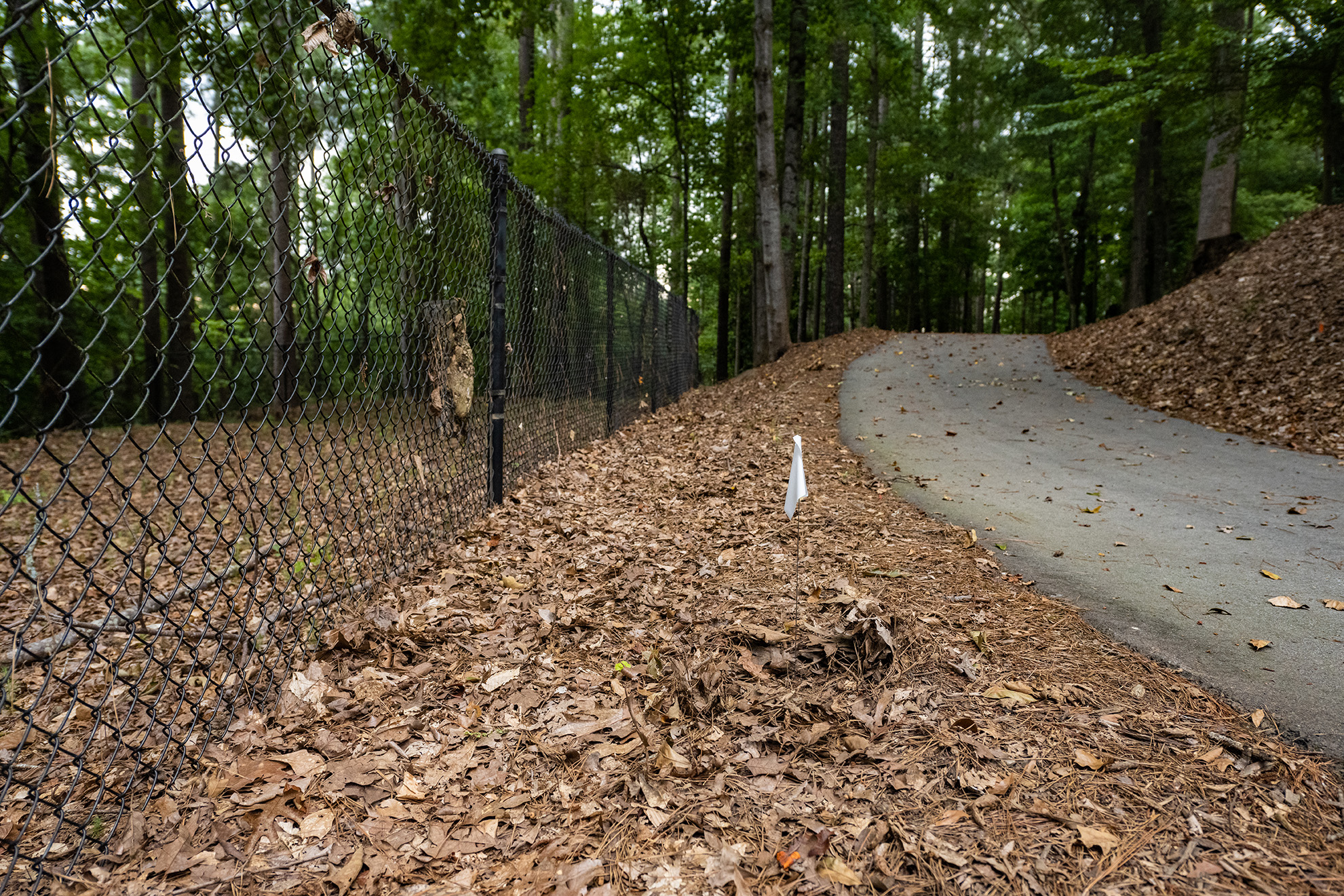 View of white flags showing placement of unmarked graves in Woodland cemetery