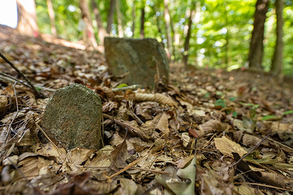 Two fieldstones sit in the ground in Woodland Cemetery.