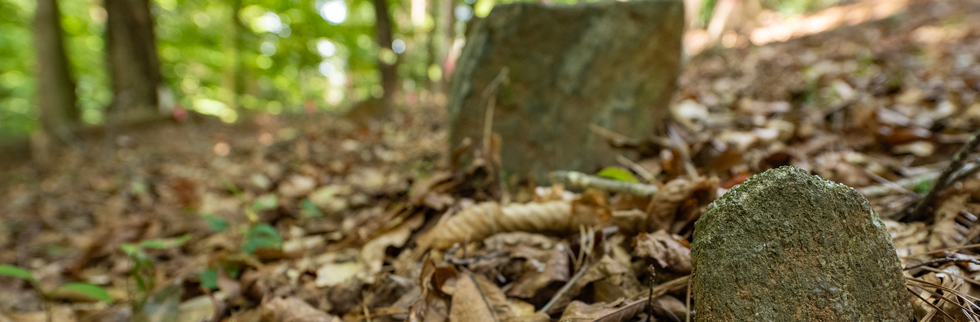 Two fieldstones marking graves in the African American Burial Ground at Woodland Cemetery are visible.