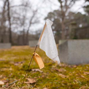 White circles signify unmarked graves underneath the pavement in Woodland Cemetery.