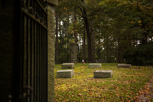 Image of the Calhoun Plot in Woodland Cemetery and some unmarked graves