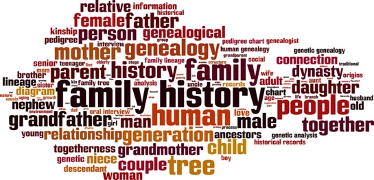 Word cloud of genealogy terms