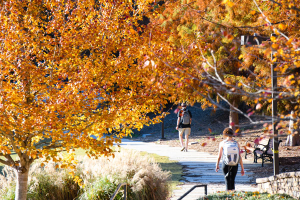 Two students walk along a campus sidewalk beneath tree full with fall colored foliage 
