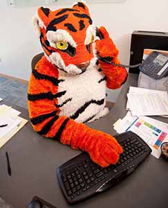 tiger mascot working at computer