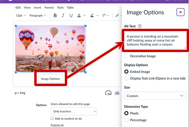 screenshot of image edit options in canvas