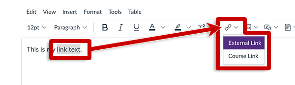 screenshot of link options in canvas