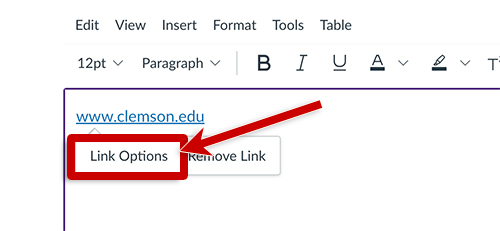 screenshot of a link created in a canvas page