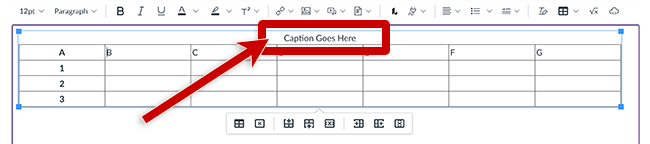 screenshot of the table caption field in Canvas