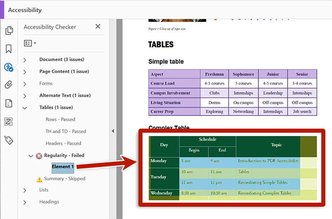 screenshot of adobe acrobat's old interface accessibility checker results with issues highlighted