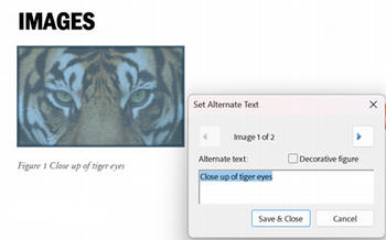 screenshot of adobe acrobat's alternative text dialog