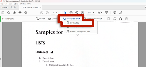 screenshot of adobe acrobat tools with arrow pointing to in this file action