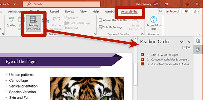 screenshot of the reading order button in the accessibility ribbon for powerpoint