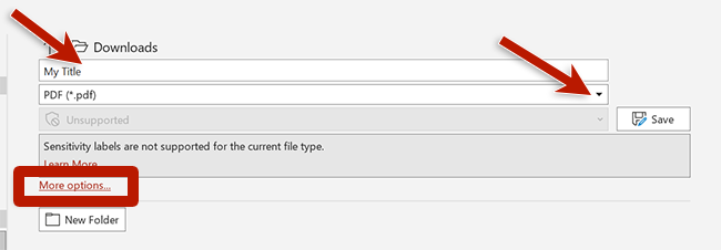 screenshot of power point save dialog box with title and options highlighted