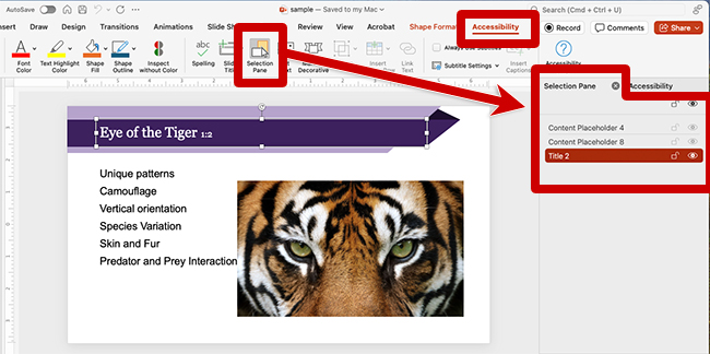 screenshot of the selection pane in power point