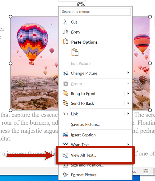 screenshot of the drop down menu when right clicking on a photo in word 