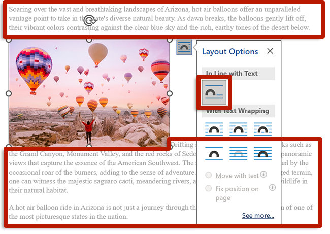 screenshot of image editing view in microsoft word