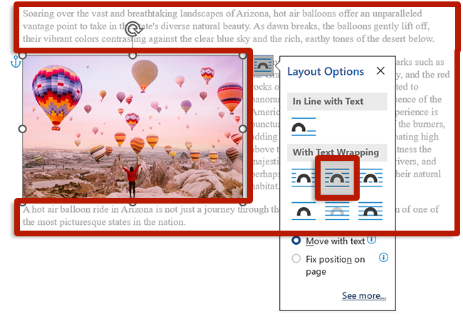 screenshot of image editing view in microsoft word
