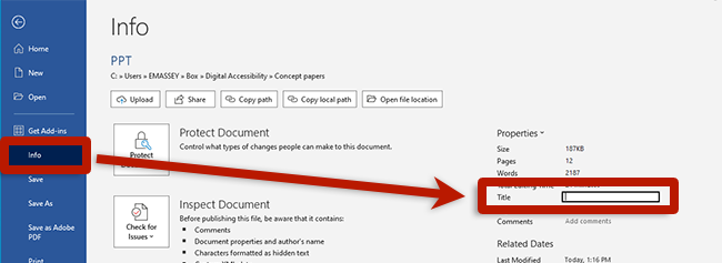 screenshot of the information dialog box in word