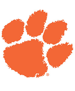 Orange tiger paw imprint