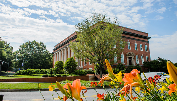 Orange and yellow lilies blooming across from Sikes Hall. 