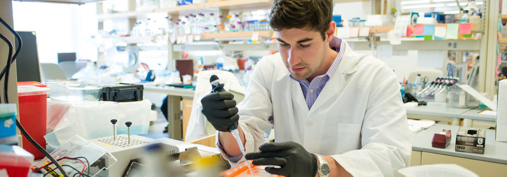 Research at Clemson University, Clemson, South Carolina