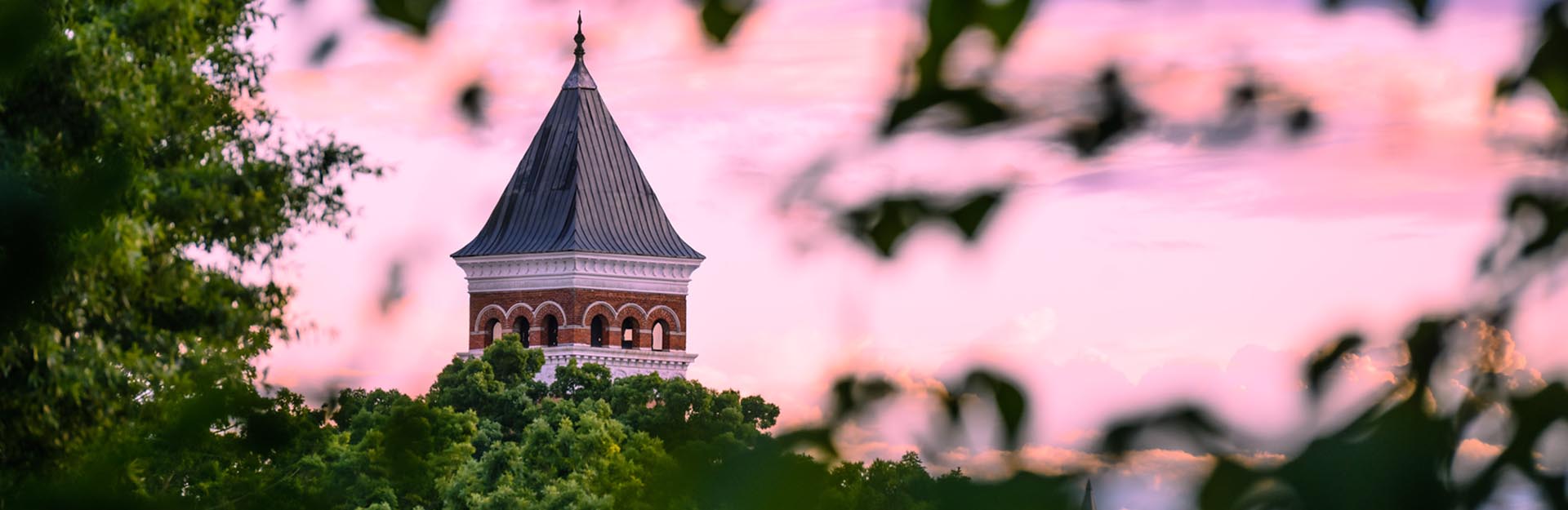 Photo at sunset of the Tillman Hall clock tower.