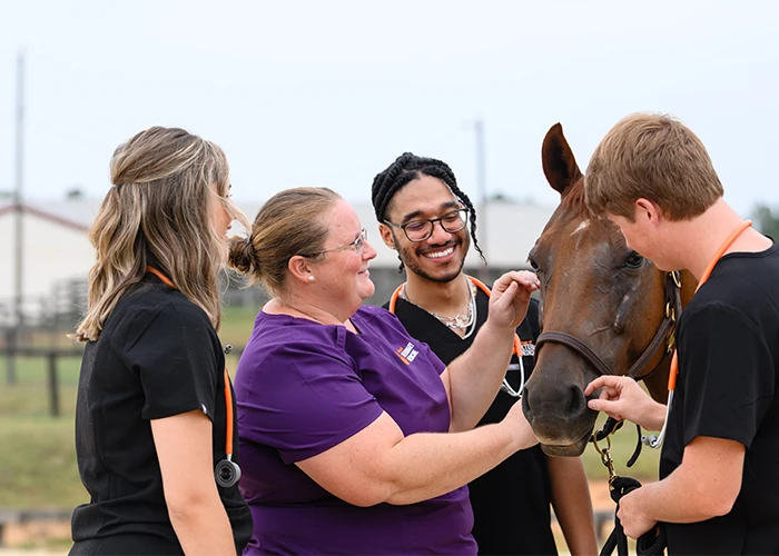 A female veterinary medicine professor and three students stand next to a brown horse.