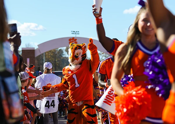 Clemson cheerleaders and the Clemson Tiger mascot wave to people and walk to the stadium.