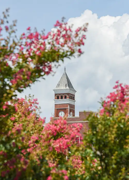 Tillman Hall in the distance through springtime blooms