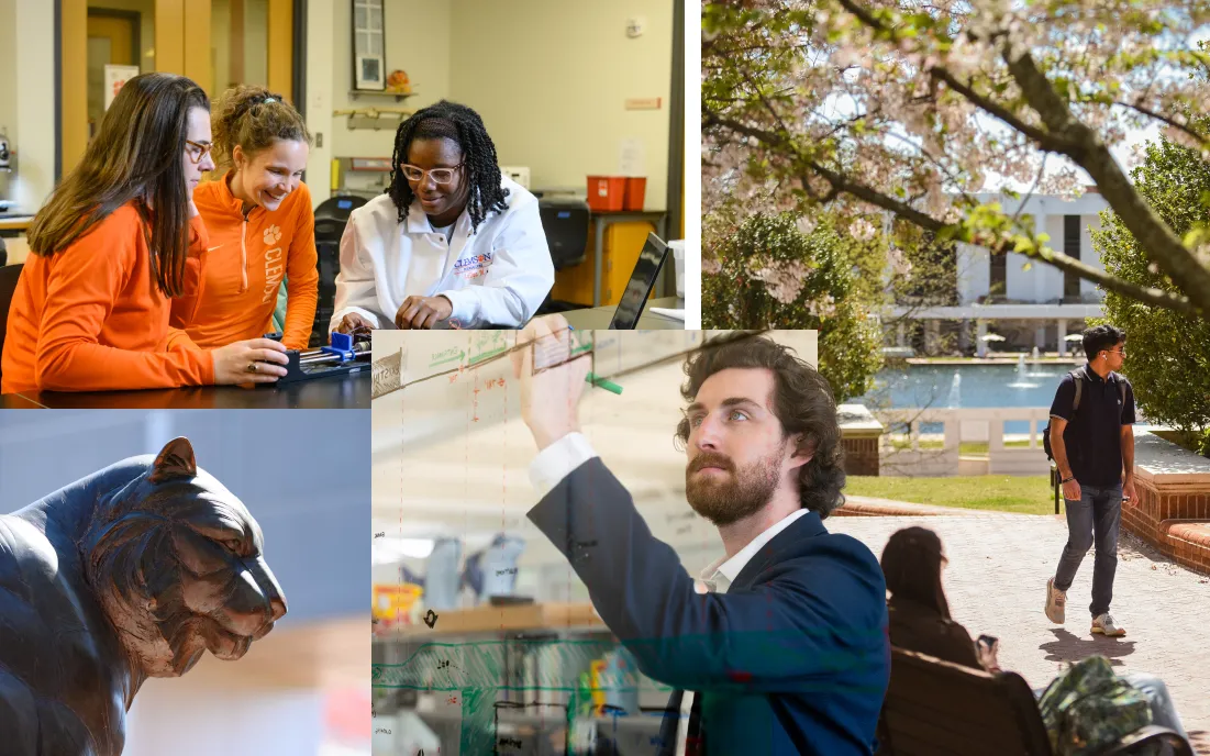 A collage showcasing students walking on campus, a student writing on a clear window, students manipulating technology, and a bronze Tiger statue.