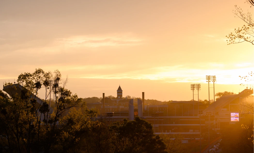 Clemson University's campus at sunset with trees in the foreground and the football stadium and Tillman Hall clock tower in the background.
