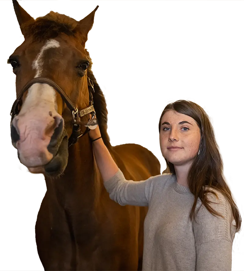 A female student wearing a gray sweater stands in a barn stall next to a brown horse with white markings on its face.