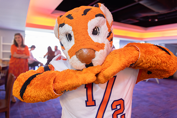Clemson Tiger cub mascot posing with hands under chin and 1/2 on his jersey in colorful room with windows in the background. 