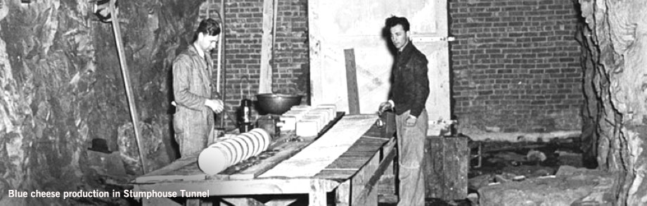 Cheese Being made in Stumphouse Tunnel