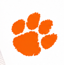 Improper logo example of a stretched distorted Clemson Tiger Paw on a white background