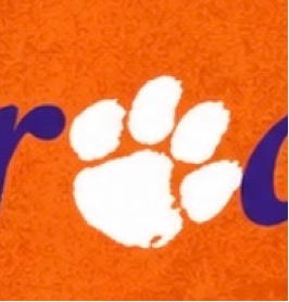 Improper logo example of Clemson tiger paw on an orange background