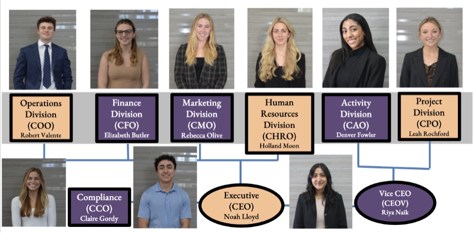 Organizational chart displaying team members and their roles, including the Operations, Finance, Marketing, Human Resources, Activity, and Project divisions.